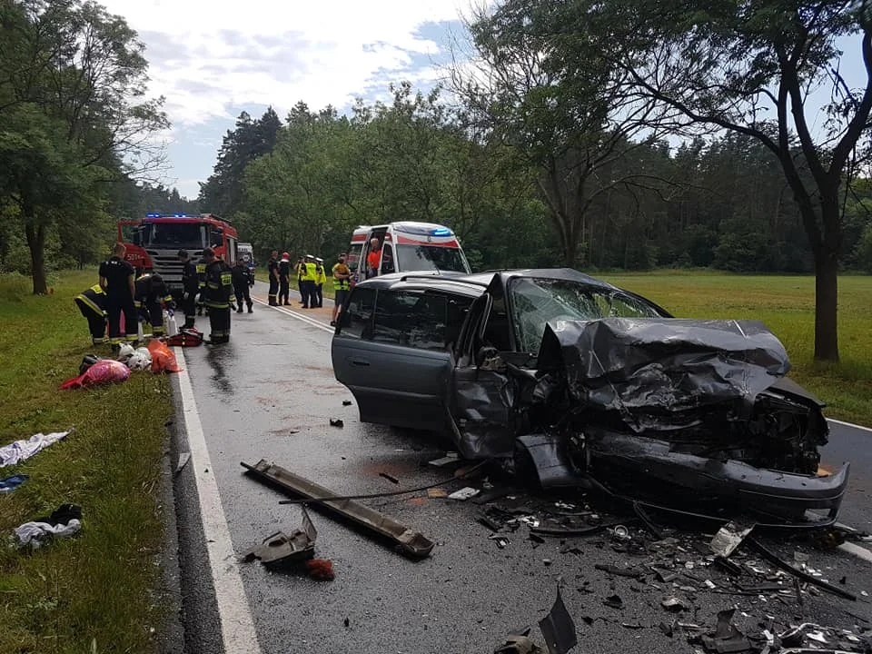 Tragiczny wypadek pod Dziadkowem - 21.06.2019 r.