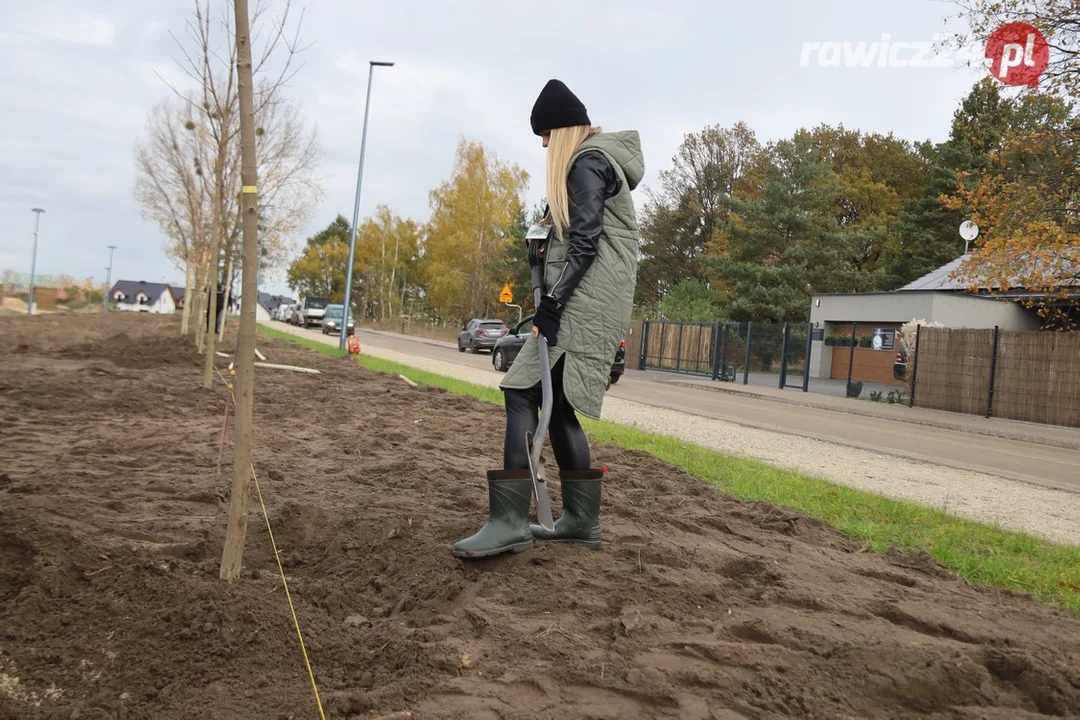 Nowe nasadzenia na poligonie