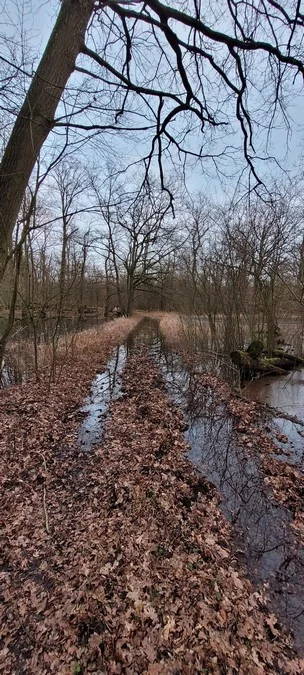 Tereny Żerkowsko-Czeszewskiego Parku Krajobrazowego