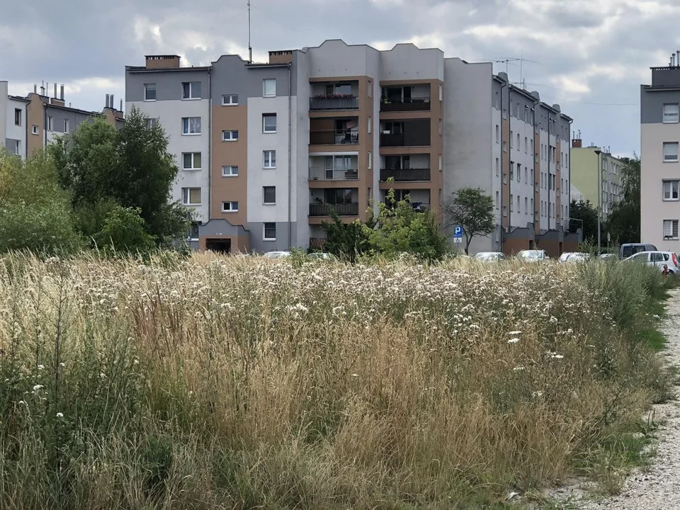 W Jarocinie powstanie wybieg dla psów. Nawet dwa na jednym osiedlu