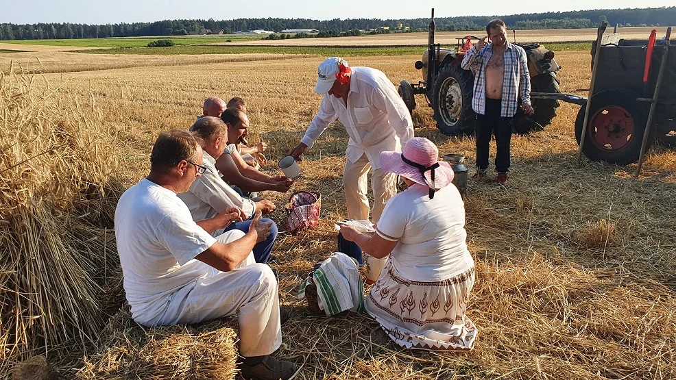 W Jedlcu zorganizowano wyjątkowe żniwa