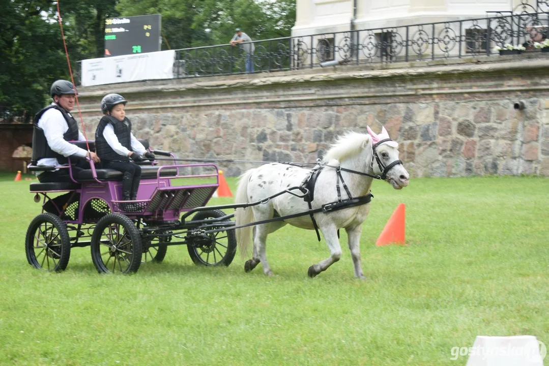 Rokosowo Horse Show 2024 - dzień pierwszy