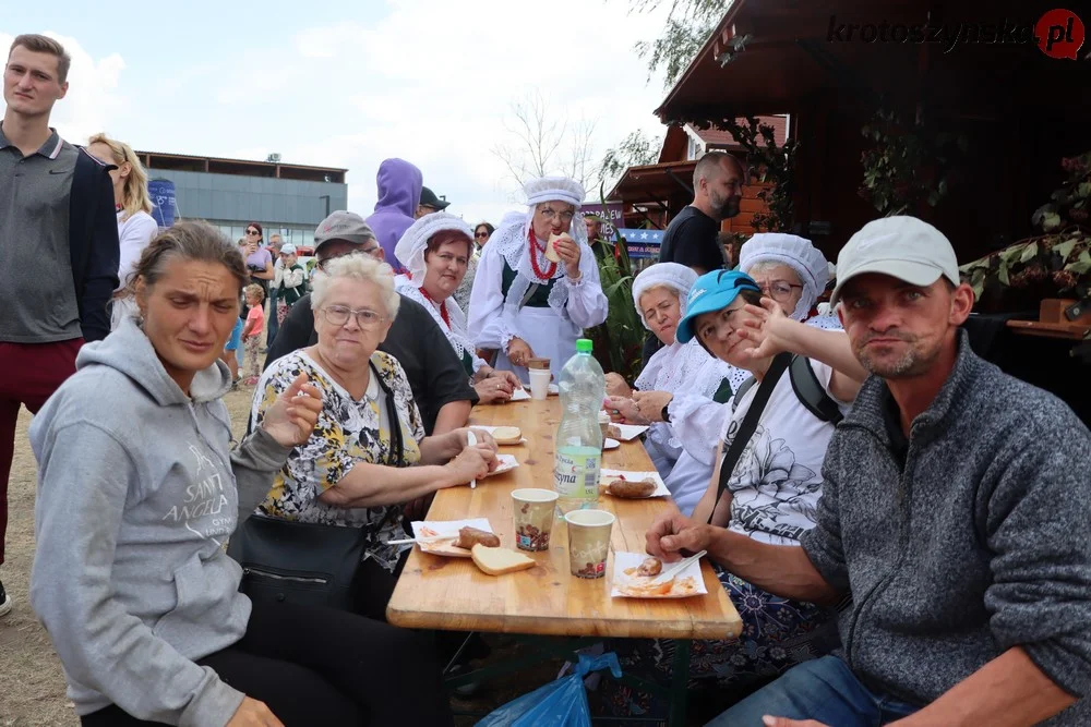 Krotoszyn. Piknik rodzinny 800+. Atrakcje dla dzieci i dorosłych