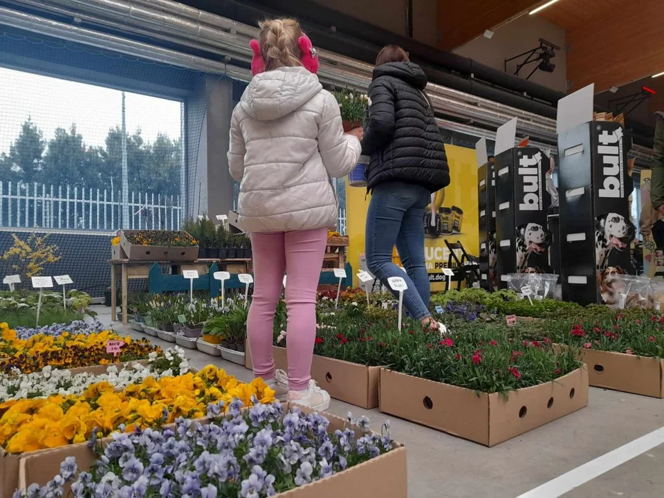 W Jarocinie trwająTargi Wiosenne i "WIelkanoc w parku Radolińskich"