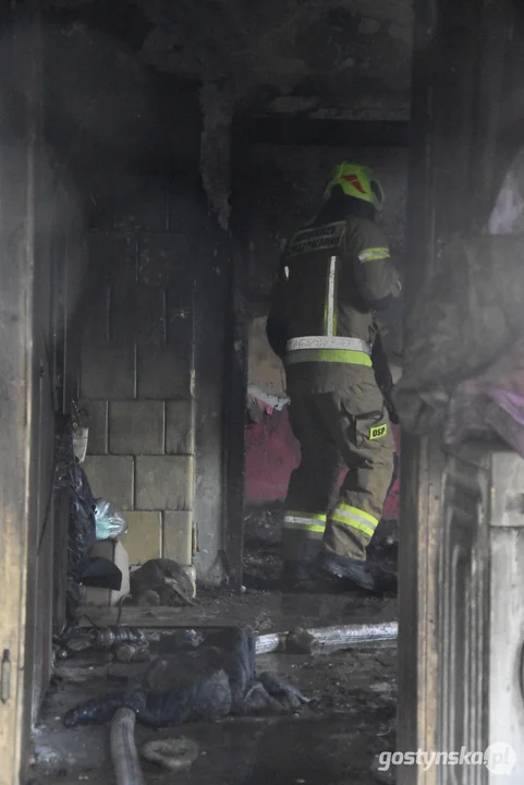 Pożar mieszkania w Szelejewie Drugim