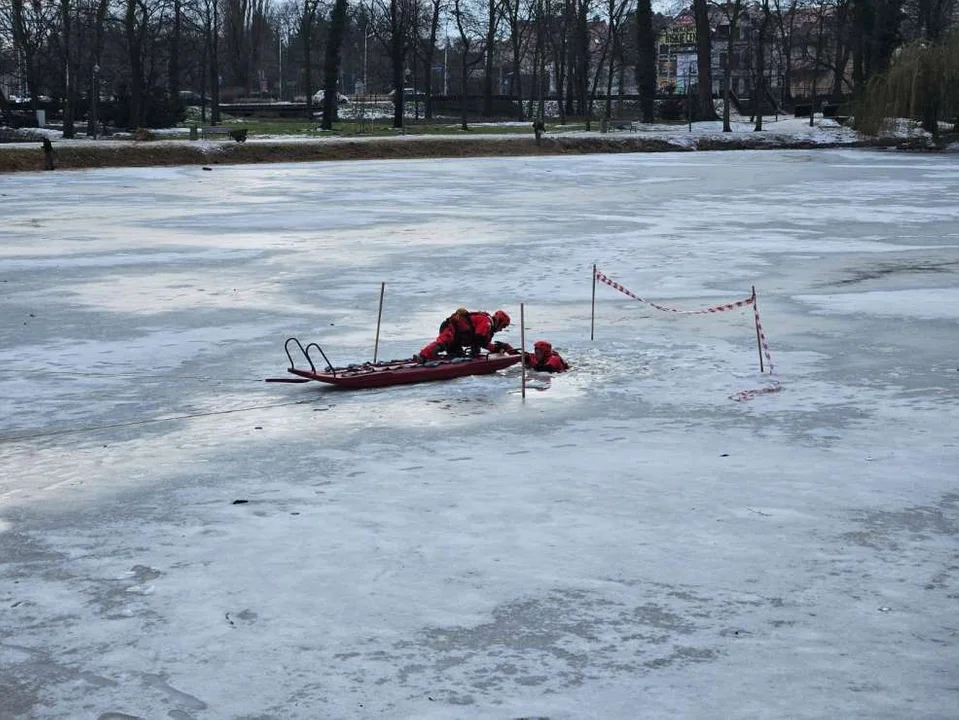 Jarocińska policja i straż pożarna prowadziły działania na stawie w parku Radolińskich [ZDJĘCIA, SONDA] - Zdjęcie główne