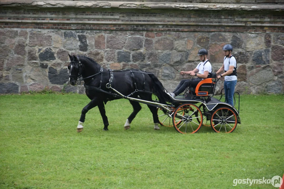 Rokosowo Horse Show 2024 - dzień pierwszy