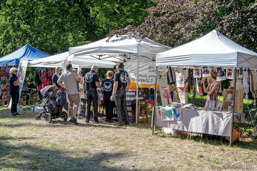 Festiwal Lasu 2022 był bardzo udaną imprezą