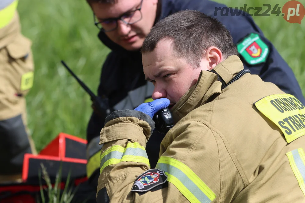 Pożar w lesie pomiędzy Zieloną Wsią a Dębnem Polskim