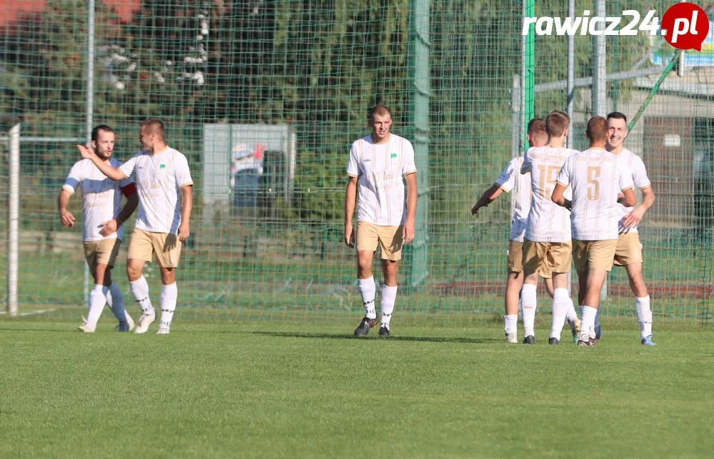 Awdaniec Pakosław - Wisła Borek Wielkopolski 2:5