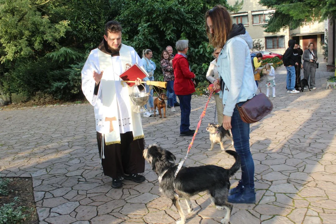 U franciszkanów w Jarocinie z okazji odpustu błogosławiono zwierzęta