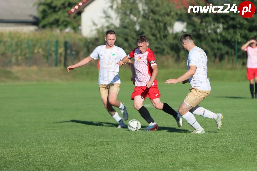 Awdaniec Pakosław - Wisła Borek Wielkopolski 2:5