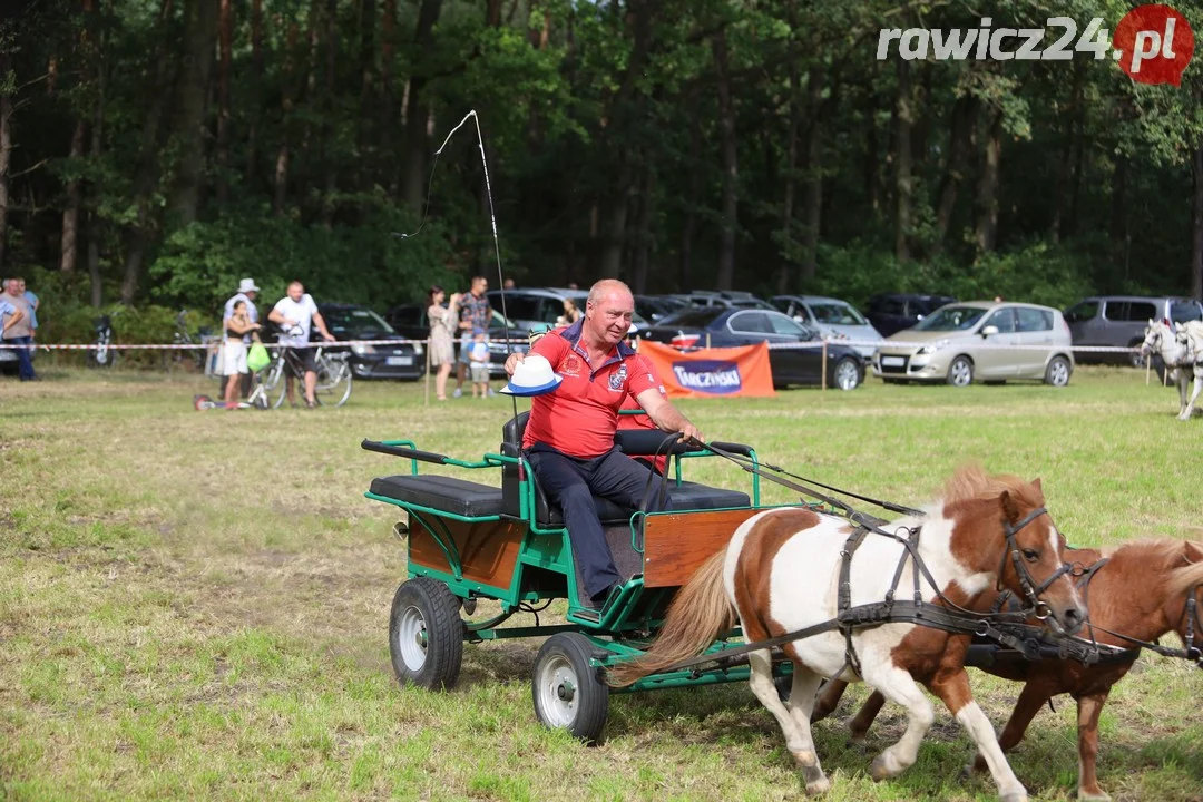 Zawody konne w Pakosławiu