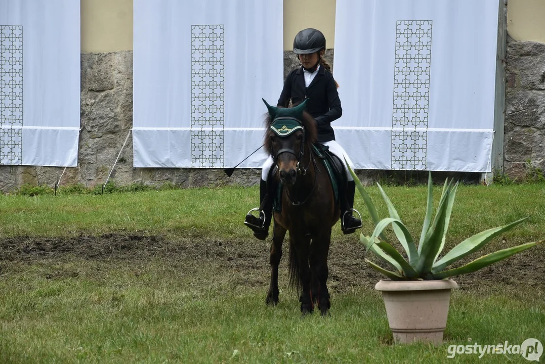 Rokosowo Horse Show - dzień drugi