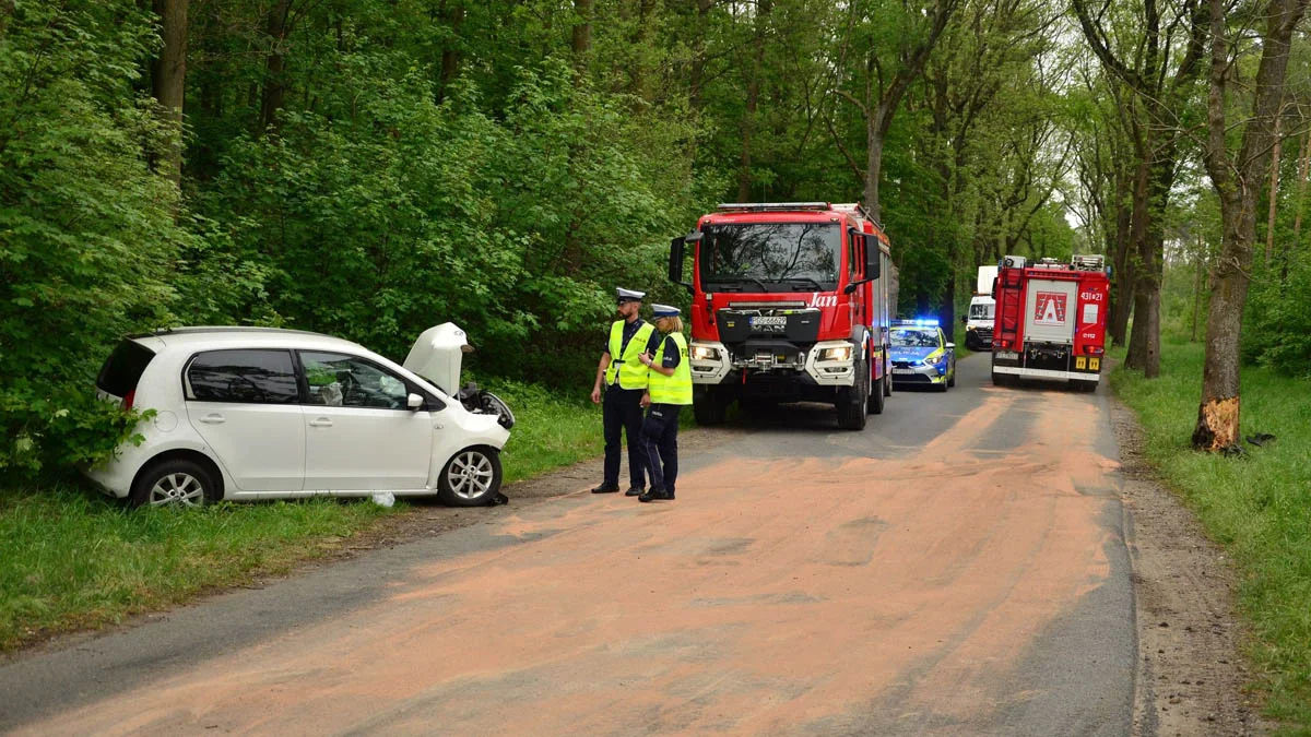 Samochód osobowy uderzył w drzewo w Siedmiorogowie Pierwszym (gm. Borek Wlkp.)