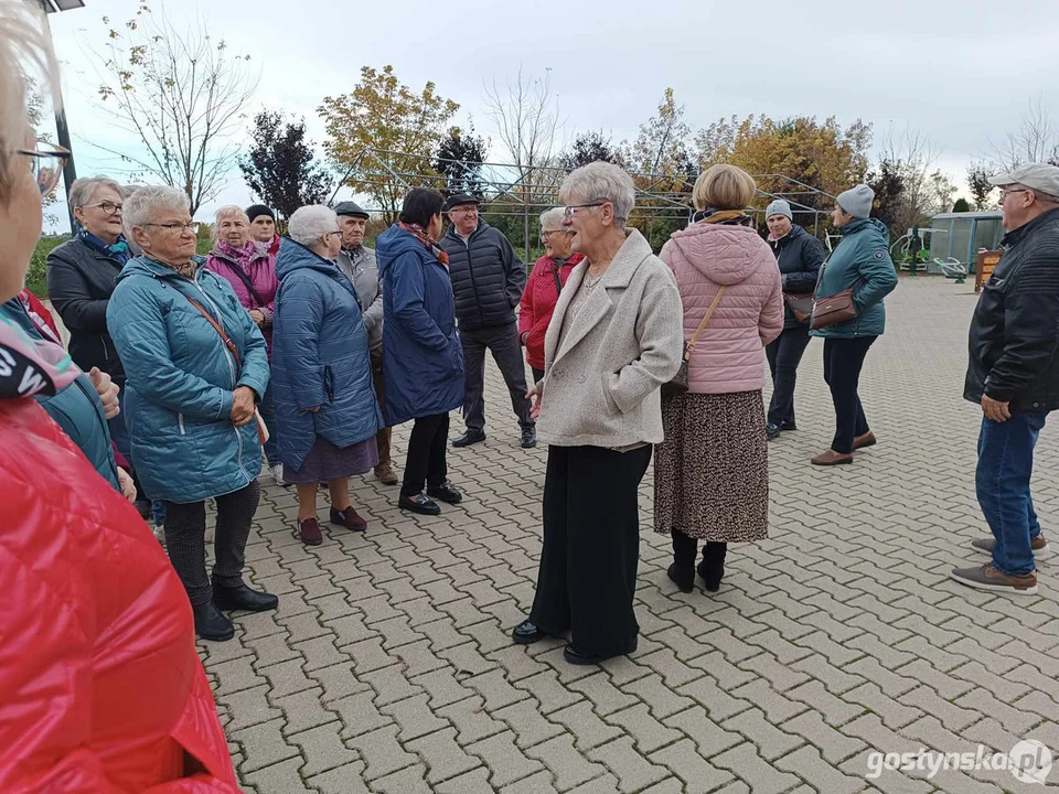 Senioralne Biuro Podróży w gminie Piaski