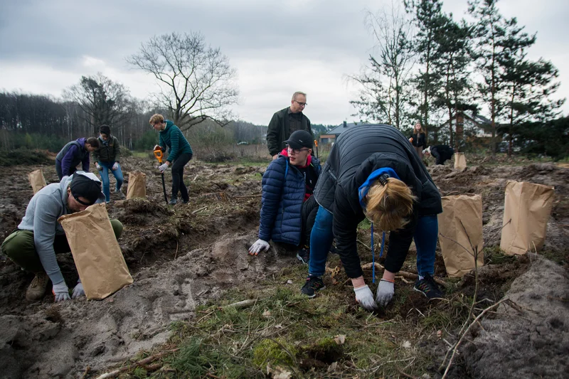 Dziennikarze jarocinska.pl i wolontariusze Fundacji Ogród Marzeń sadzili las w Roszkowie