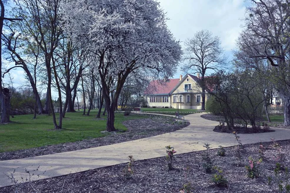 Rewitalizacja ogrodu plebańskiego w Wilkowyi