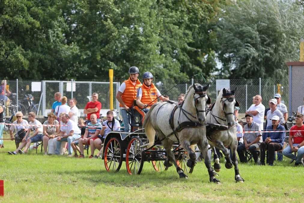 polecany artykuł