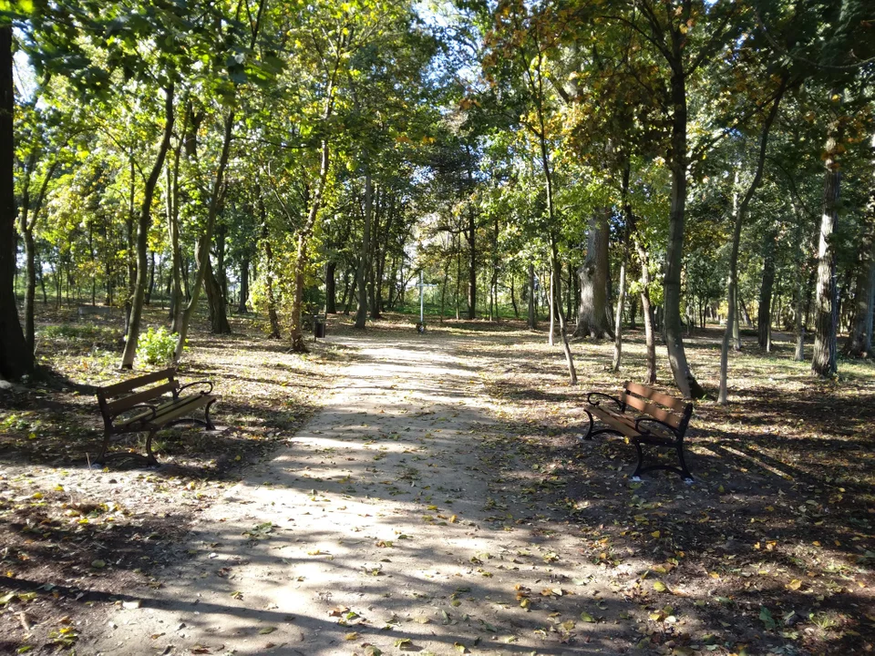 W gminie Gizałki zrewitalizują park i wybudują plac zabaw przy szkole - Zdjęcie główne