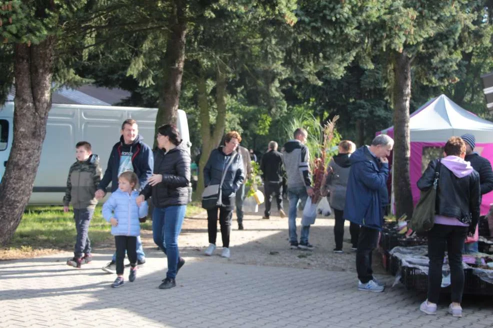 Wyróżnienie dla KGW w Witaszyczkach na targach w Marszewie