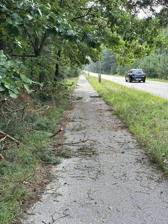 Zły stan porządku na ścieżce rowerowej przy drodze Wilkowyja - Tarce