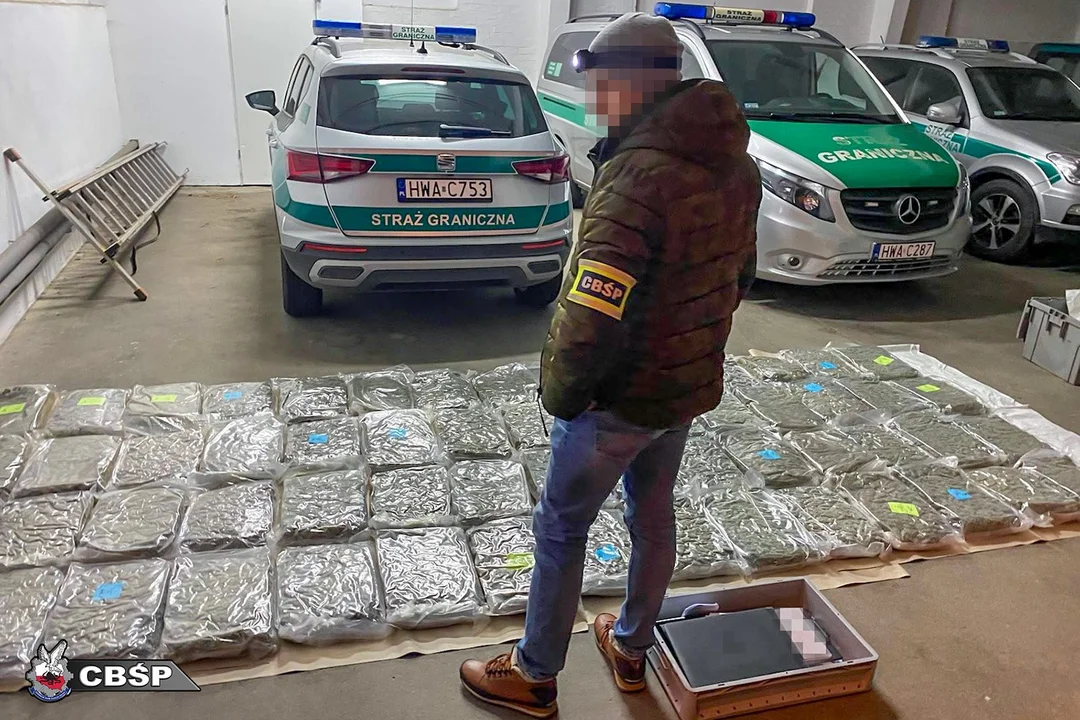 Wielkopolscy policjanci rozbili zorganizowaną grupę przestępczą