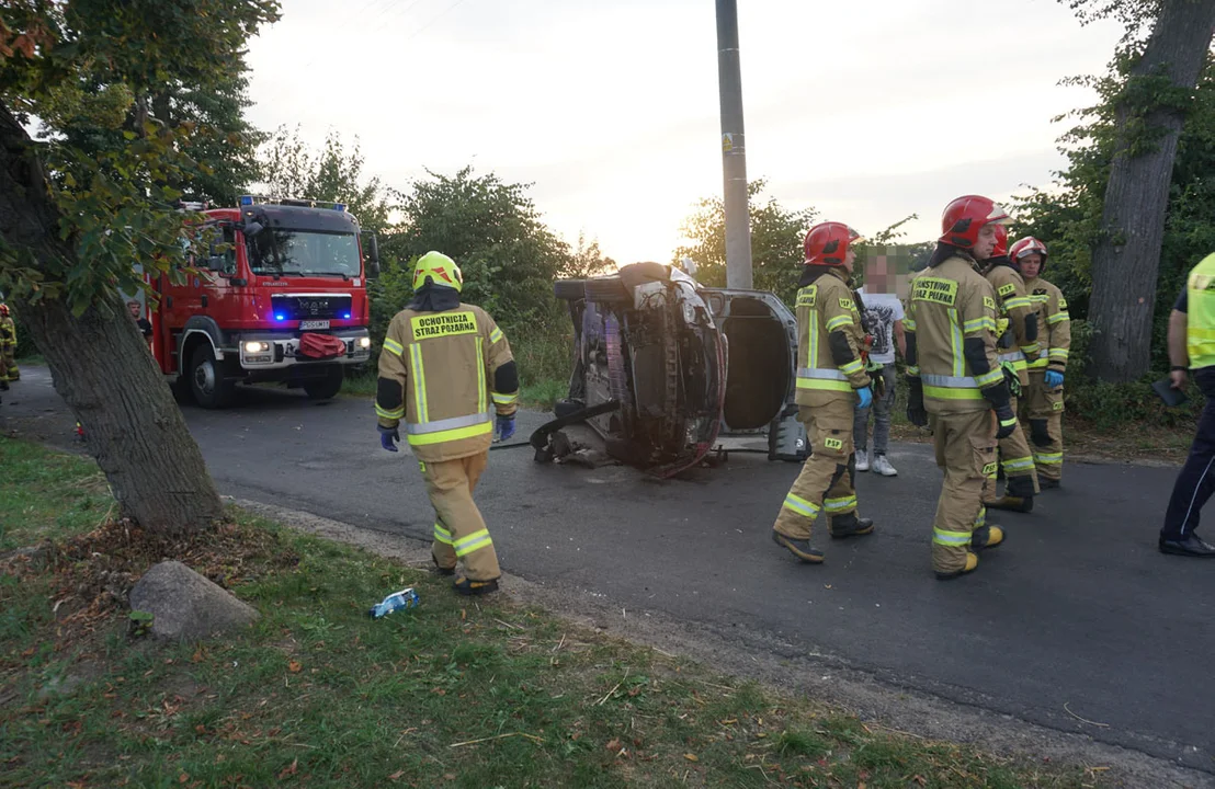 Skasował auto o przydrożne drzewo na drodze z Mszczyczyna do Gajewa. Policja ustala szczegóły zdarzenia - Zdjęcie główne