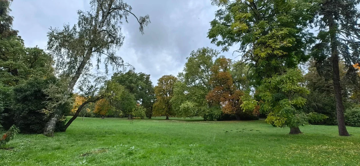 Park w Klęce to prawdziwa perełka. Warto zajrzeć tam właśnie teraz