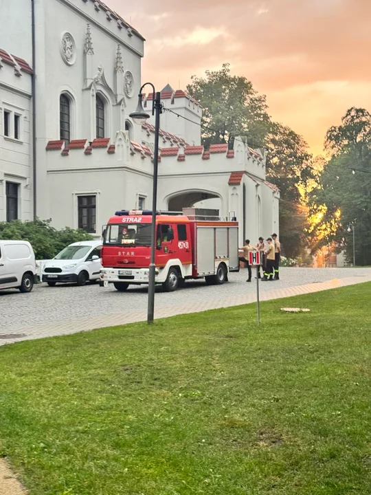 Odkomarzanie przed festiwalem