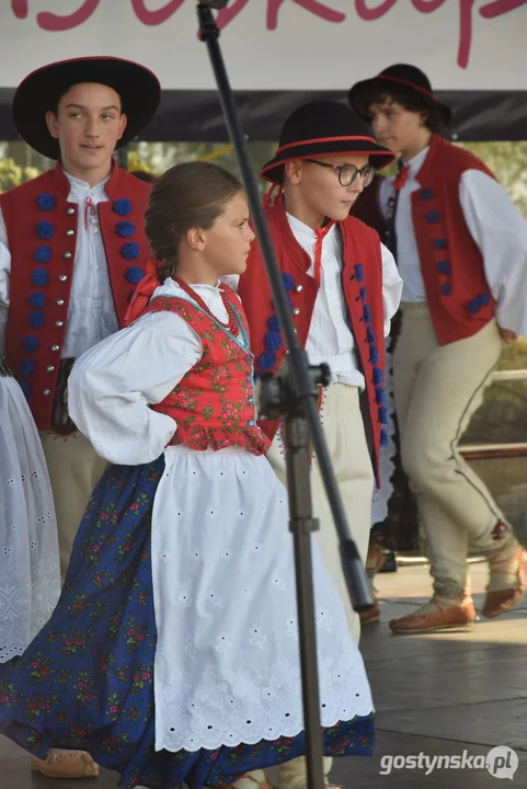 XI Festiwal Tradycji i Folkloru w Domachowie - wesele buskupiańskie i podpisanie umowy partnerskiej