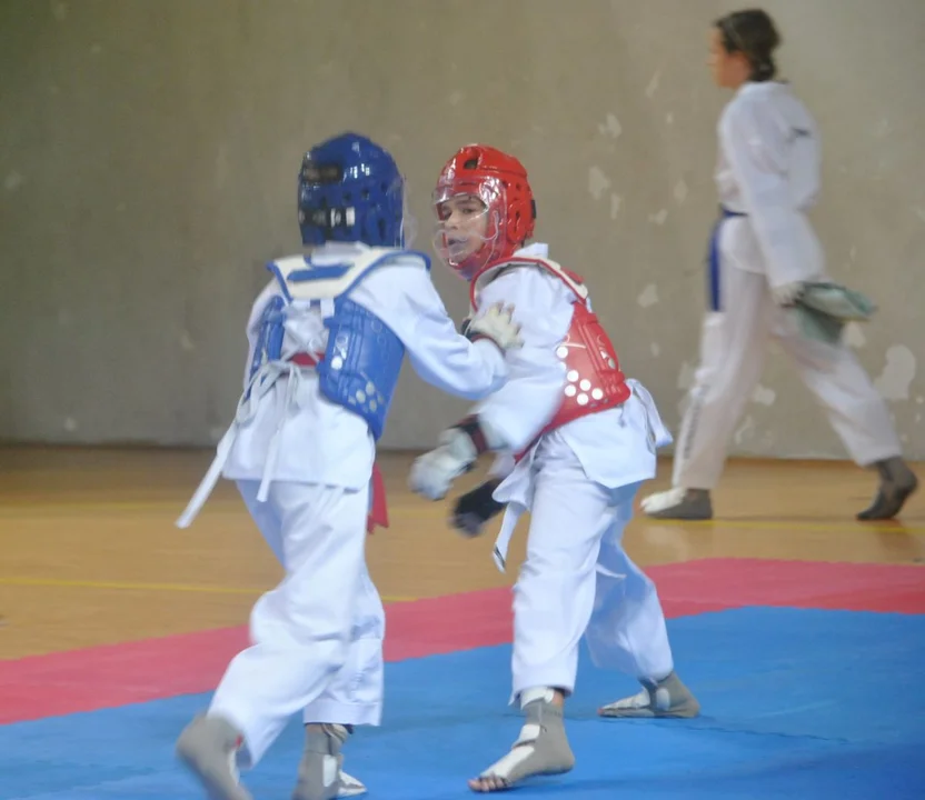III turniej Grand Prix Wielkopolski w taekwondo olimpijskim - Jarocin