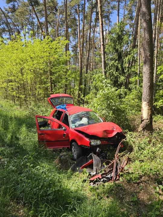 18-latek uderzył VW w drzewo na trasie Siedmiorogów Pierwszy - Pogorzela