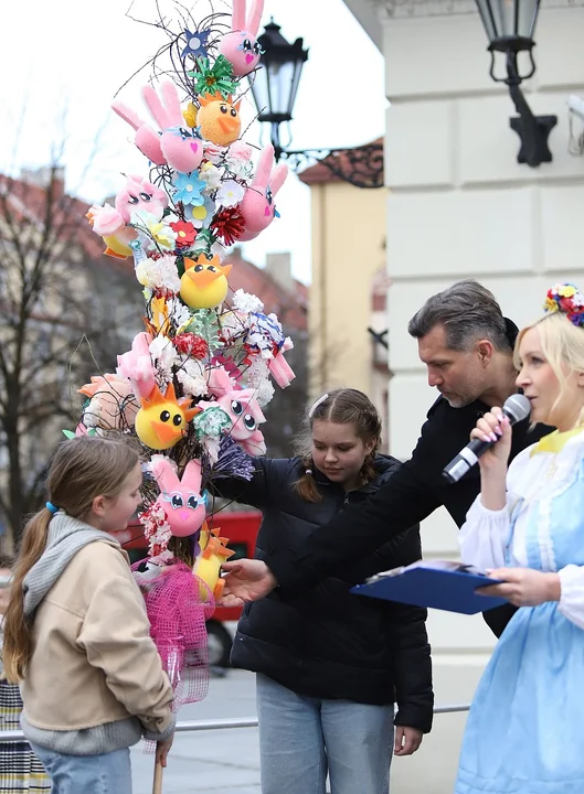 Najdłuższe palmy miały ponad 3 metry