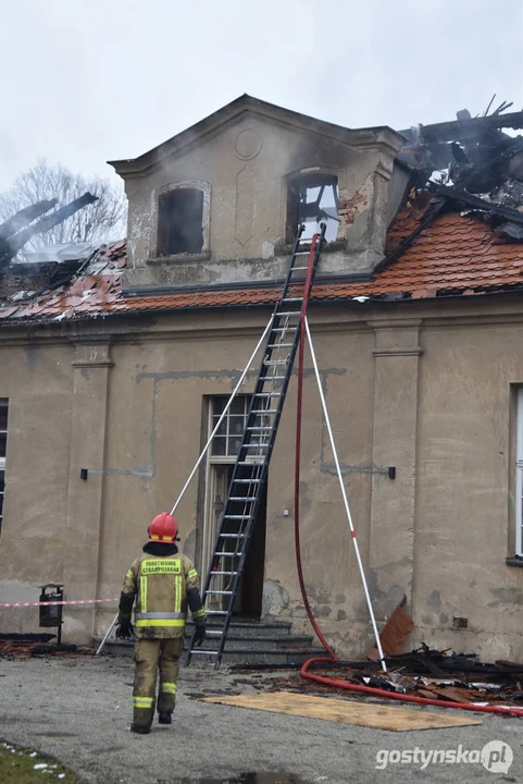 Pożar pałacu w Pępowie. Straż pożarna porządkuje pogorzelisko