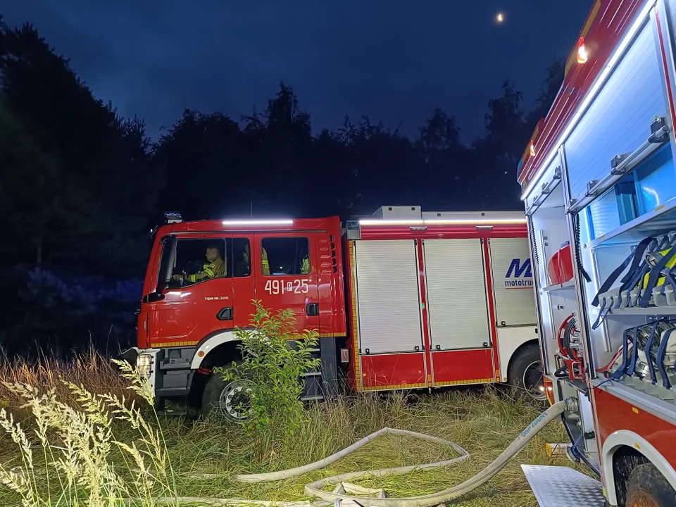 Pożar lasu na granicy powiatu krotoszyńskiego i milickiego