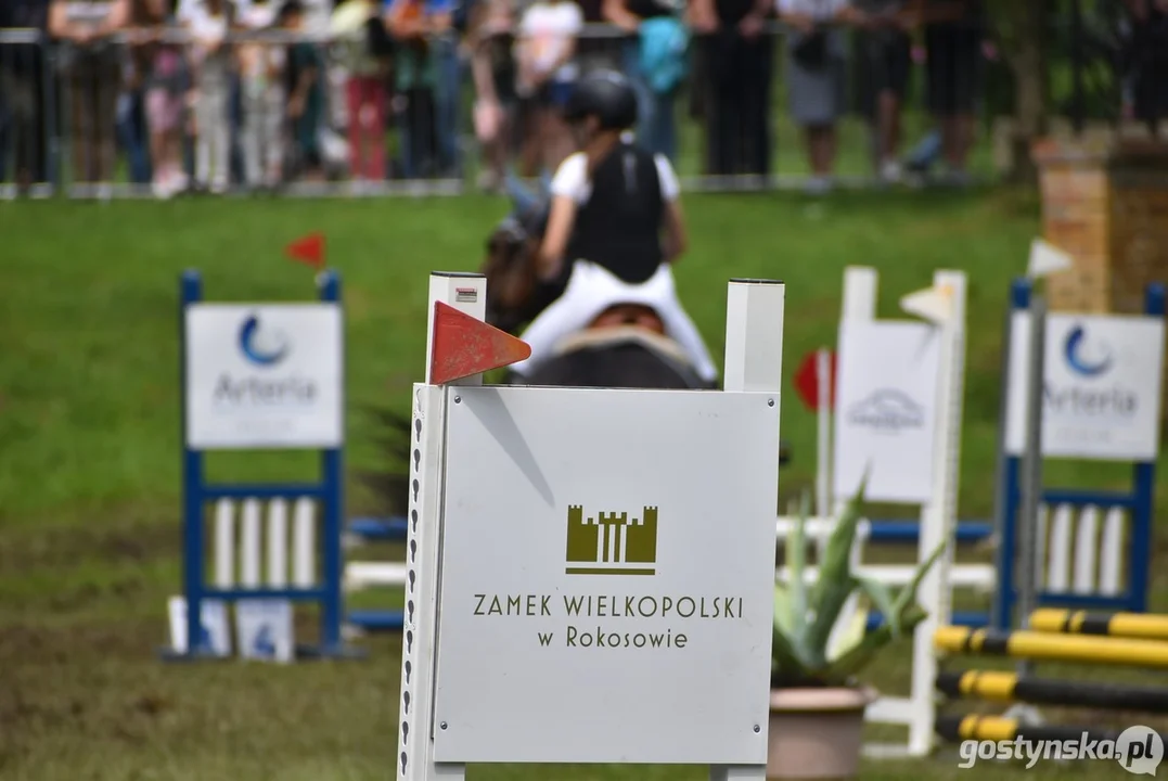 Rokosowo Horse Show - dzień drugi