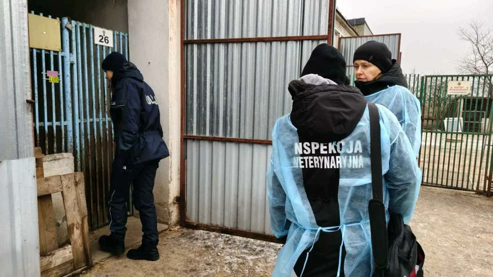 Jarocińscy policjanci skontrolowali schronisko dla zwierząt w Radlinie. Co stwierdzili? [ZDJĘCIA, SONDA] - Zdjęcie główne