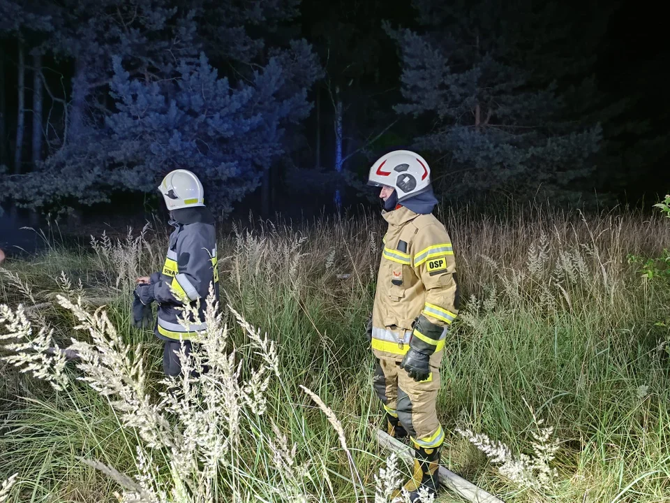 Pożar lasu na granicy powiatu krotoszyńskiego i milickiego