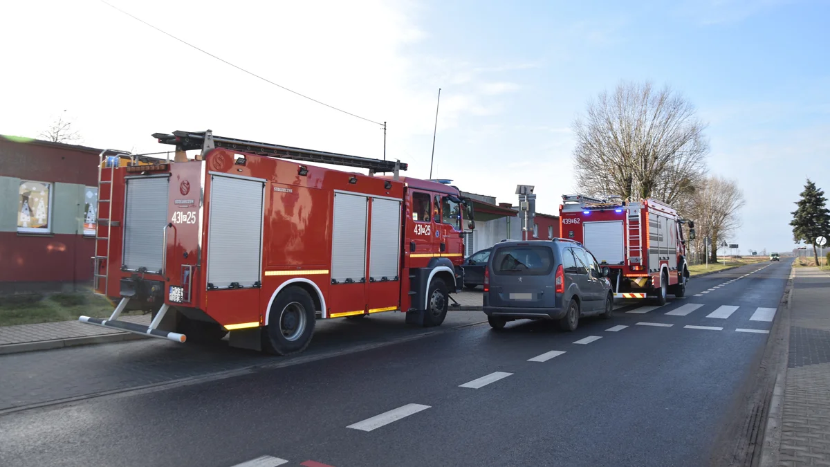 Zadymienie w Szkole Podstawowej w Goli. Wezwano straż pożarną