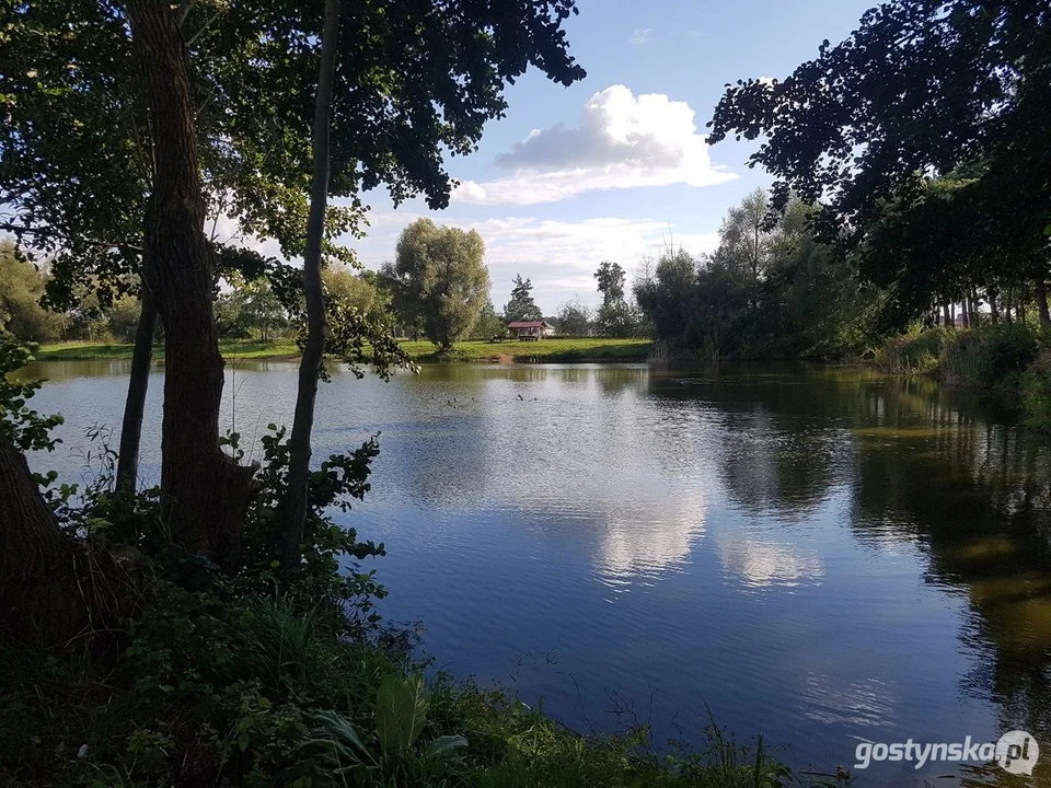 Atrakcje turystyczne powiatu gostyńskiego