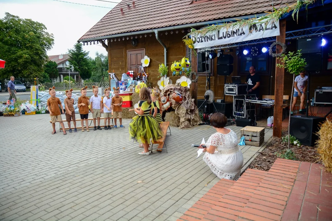 Dożynki w Lubini Małej