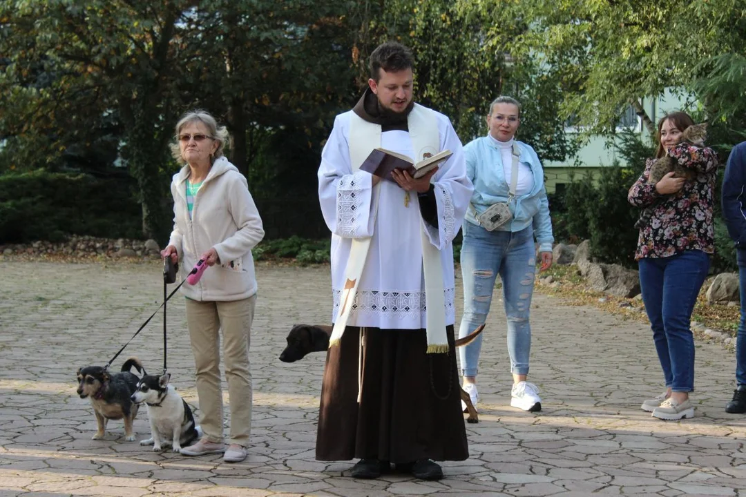 U franciszkanów w Jarocinie z okazji odpustu błogosławiono zwierzęta