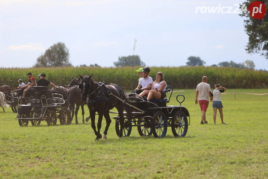 Zawody konne w Pakosławiu