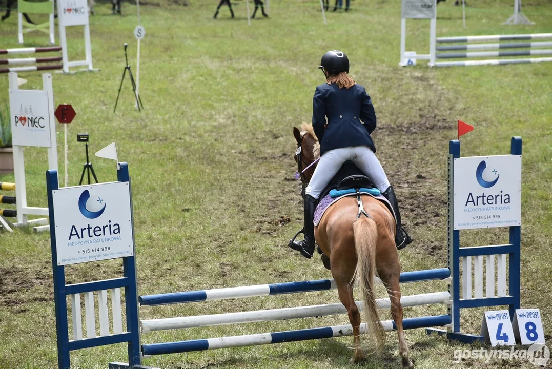 Rokosowo Horse Show - dzień drugi