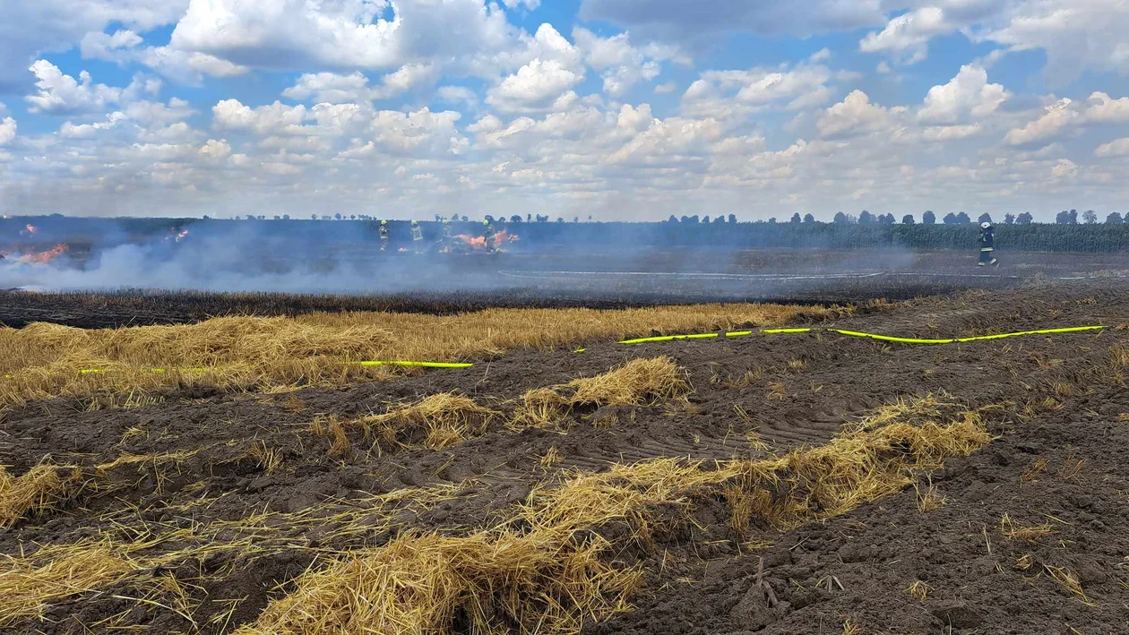 Pożar pod Niemarzynem