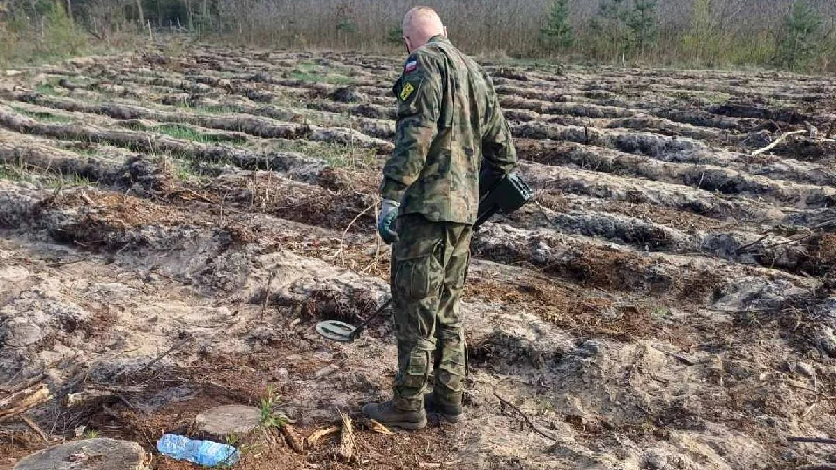 Podczas sadzenia lasu w Karcu leśnicy odkryli pocisk artyleryjski
