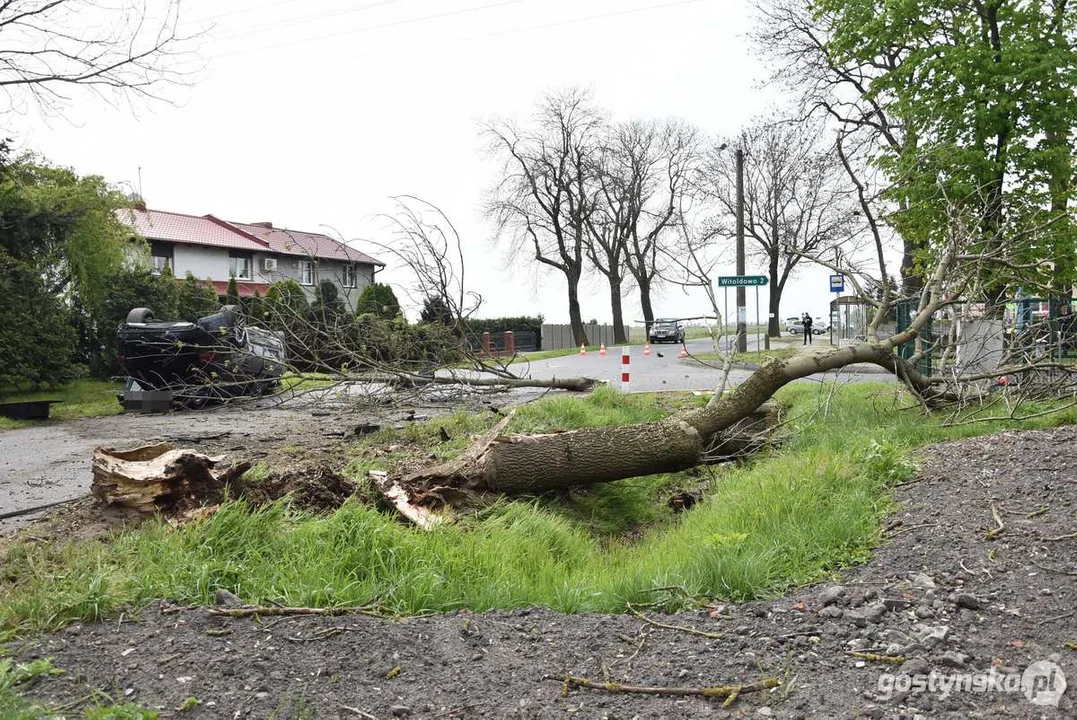 Zderzenie z drzewem na trasie Gostyń - Poniec