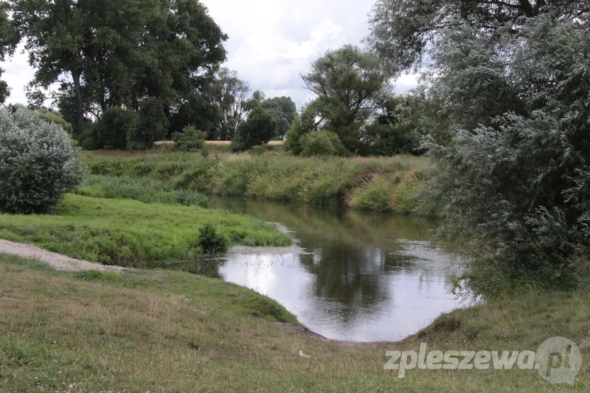 Wizyta w pracowni Magdaleny Głoskowskiej