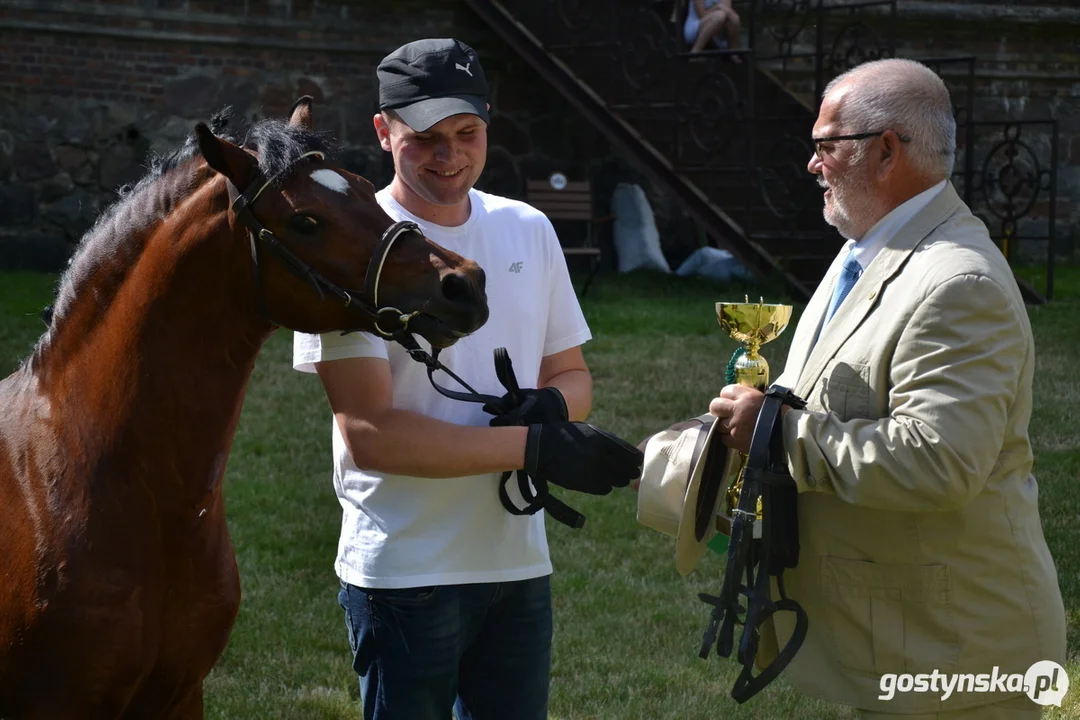 Rokosowo Horse Show 20224 - Konie i Powozy na Zamku Wielkopolskim w Rokosowie